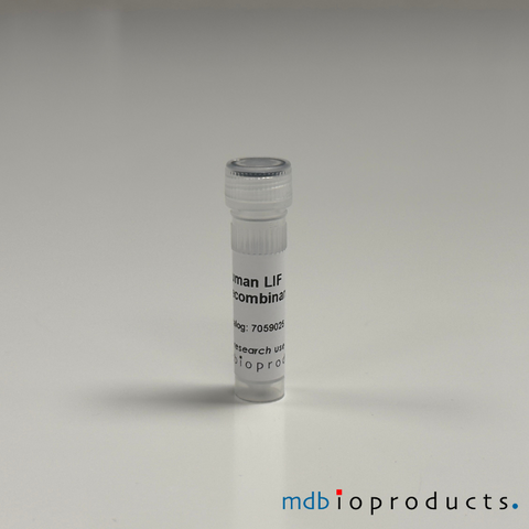 Human LIF Recombinant Protein, MD Bioproducts, MD Biosciences