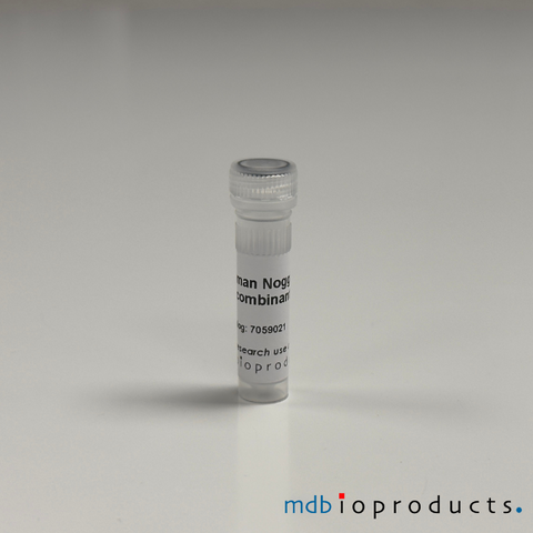 Human Noggin Recombinant Protein, MD Bioproducts, MD Biosciences