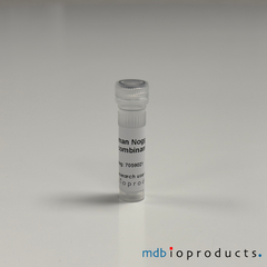Human Noggin Recombinant Protein, MD Bioproducts, MD Biosciences