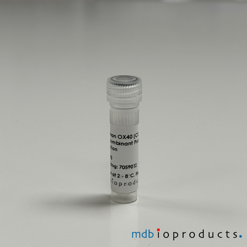 Human OX40 (CD134, TNFRSF4), Recombinant Protein, Cell Signaling Pathways, MD Bioproducts, MD Biosciences