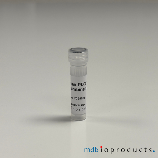 PDGF-AA Recombinant Protein (Human), 10ug