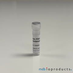 Human PDGF-AA Recombinant Protein, MD Bioproducts, MD Biosciences