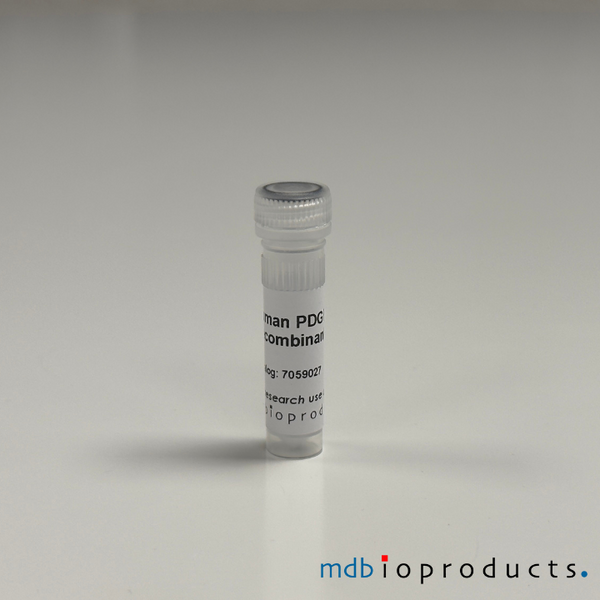 PDGF-BB Recombinant Protein (Human), 10ug