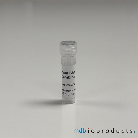 Human Shh Recombinant Protein, MD Bioproducts, MD Biosciences