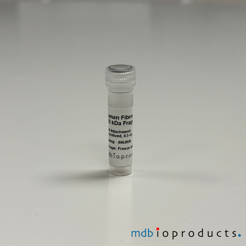 Human Fibronectin 120 kDa Fragment Cell Attachment, Proteins, MD Bioproducts, MD Biosciences
