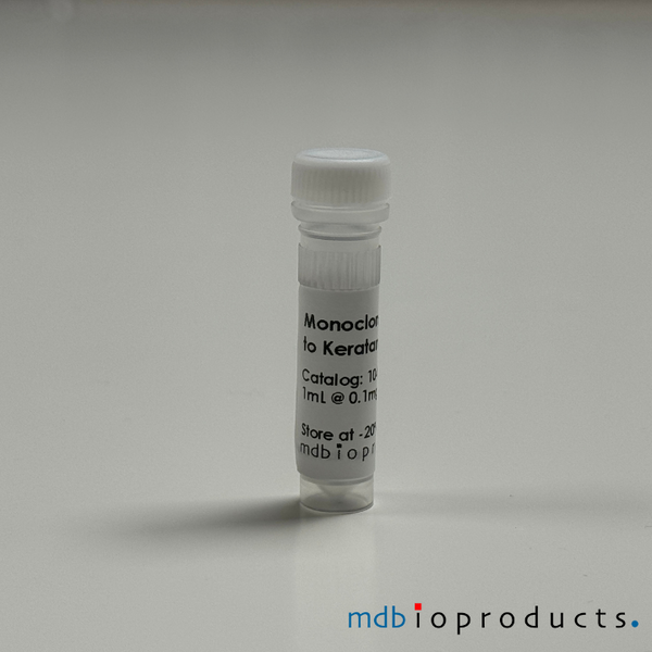 Keratan Sulfate Antibody, 100 ug