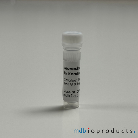 Keratan Sulfate Antibody, Antibodies, MD Bioproducts, MD Biosciences