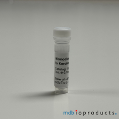 Keratan Sulfate Antibody, Antibodies, MD Bioproducts, MD Biosciences