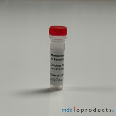 Keratocan Antibody, Antibodies, MD Bioproducts, MD Biosciences