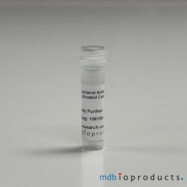ACC1, Monoclonal Antibody, 100ug