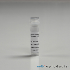 Monoclonal Antibody to ACC1 Citrullinated Collagen Type II, Affinity Purified, MD Bioproducts, MD Biosciences