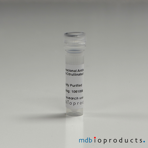 Monoclonal Antibody to ACPA Anti–Citrullinated Protein Antibody, Affinity Purified, MD Bioproducts, MD Biosciences