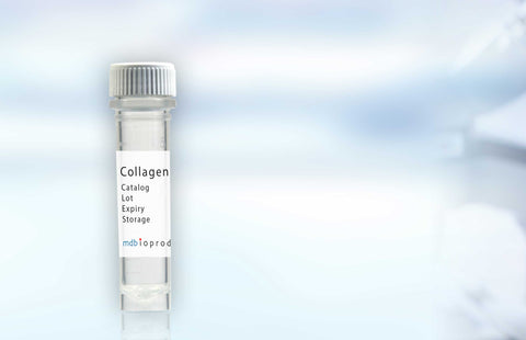 Collagen Type I, Goat, 10 mg from MD Biosciences and MD Bioproducts
