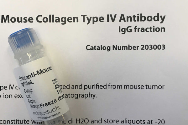 Collagen Type IV Antibody, anti-Mouse, 100 uL