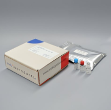 MonELISA® Mouse Total IgE assay is used to measure total IgE levels in mouse serum samples