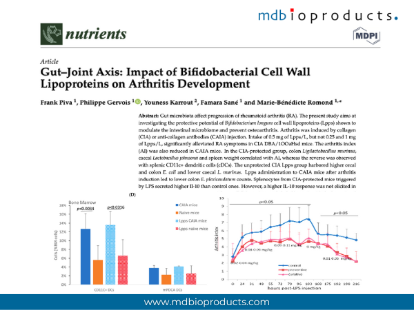 Featured Publication in Focus: Gut–Joint Axis: Impact of Bifidobacterial Cell Wall Lipoproteins on Arthritis Development