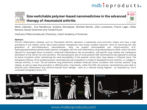 Featured Publication in Focus: Size-switchable polymer-based nanomedicines in the advanced therapy of rheumatoid arthritis
