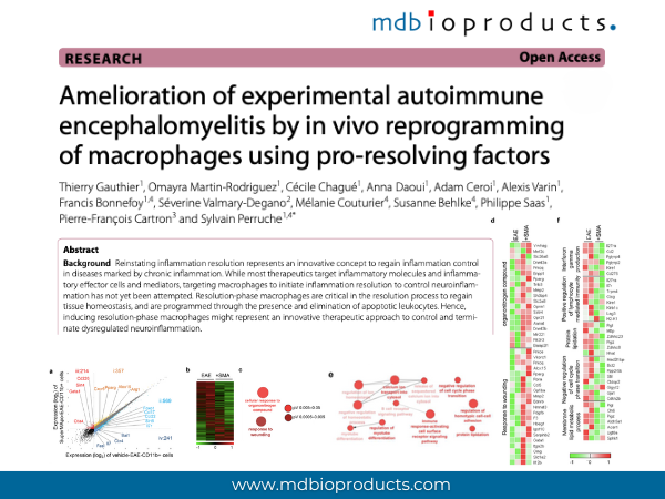 Featured Publication in Focus: Amelioration of experimental autoimmune encephalomyelitis by in vivo reprogramming of macrophages using pro-resolving factors