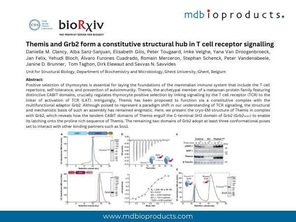 Featured Publication in Focus: Themis and Grb2 form a constitutive structural hub in T cell receptor signalling