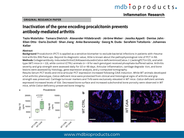 Featured Publication in Focus : Inactivation of the gene encoding procalcitonin prevents antibody-mediated arthritis
