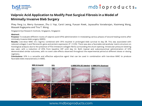Featured Publication in Focus: Valproic Acid Application to Modify Post Surgical Fibrosis in a Model of Minimally Invasive Bleb Surgery