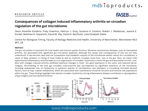 Featured Publication in Focus: Consequences of collagen induced inflammatory arthritis on circadian regulation of the gut microbiome