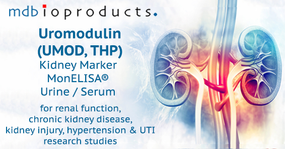 Featured Publication in Focus: On the protein content of kidney stones: an explorative study