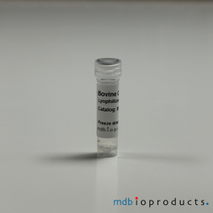 Bovine Collagen Type VI, Lyophilized, Collagen, Disease Induction Reagents, MD Bioproducts, MD Biosciences

Keywords: collagen, collagen for joint research, collagen for arthritis research, inflammation research, type 6 collagen, bovine collagen