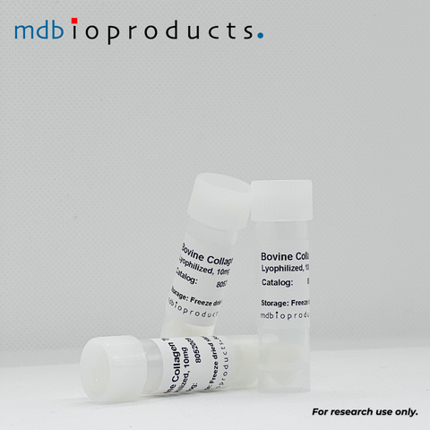 Collagen Type III Bovine from MD Biosciences and MD Bioproducts