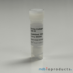 Collagen Type III, Bovine, Protein, Cell Culture, MD Bioproducts, MD Biosciences

Keywords: collagen, collagen for joint research, propeptide, type 3 collagen, bovine collagen
