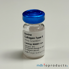 Collagen Type II, Bovine, Lyophilized, Collagen-Induced Arthritis, Disease Induction Reagents, MD Bioproducts, MD Biosciences

Keywords: alpha-1 chain of type II collagen, alpha-1(II) chains, COL2A1, CII, Bovine CII, Collagen Type 2, Bovine Collagen Type 2