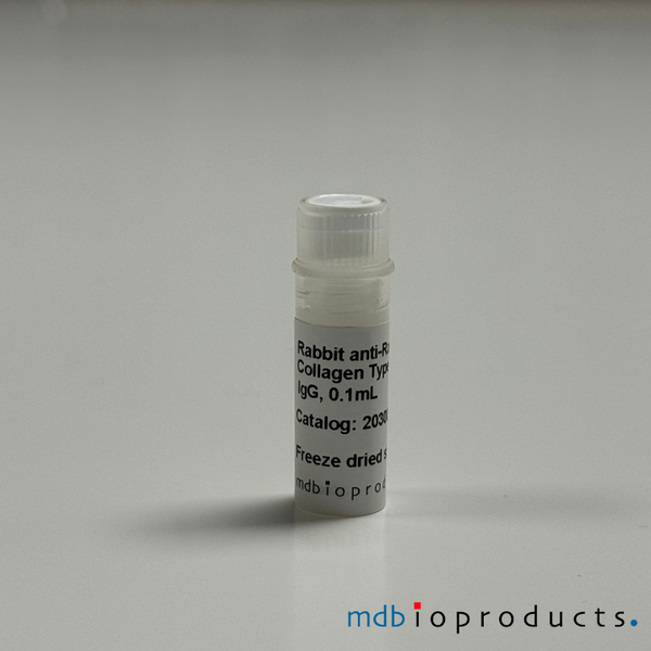 Collagen Type IV Antibody, anti-Rat,  100 uL