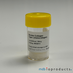 Collagen Type I (Atelocollagen), Bovine, Protein, Cell Culture, MD Bioproducts, MD Biosciences

Keywords: COL1A1, COL1A2, osteogenesis imperfecta, atelocollagen, collagen, collagen for joint research, collagen for arthritis research, inflammation research, type 1 collagen