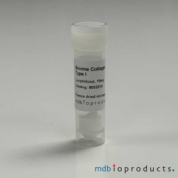 Collagen Type I, Bovine, 10 mg
