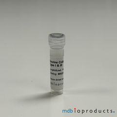 Collagen Type I and III, Bovine, Protein, Cell Culture, MD Bioproducts, MD Biosciences

Keywords: collagen type 1 and 3, bovine collagen type 1, bovine collagen type 1 and 3, collagen typ 1, collagen, collagen for joint research, collagen for arthritis research, inflammation research