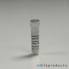 Collagen Type I and III, Canine, Protein, Cell Culture, MD Bioproducts, MD Biosciences

Keywords: collagen type 1 and 3, canine collagen type 1, canine collagen type 1 and 3, collagen typ 1, collagen, collagen for joint research, collagen for arthritis research, inflammation research, canine collagen