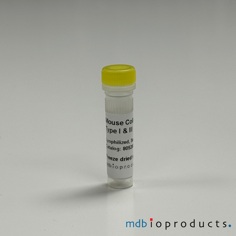 Collagen Type I and III, Mouse, Protein, Cell Culture, MD Bioproducts, MD Biosciences