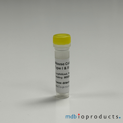 Collagen Type I and III, Mouse, Protein, Cell Culture, MD Bioproducts, MD Biosciences
