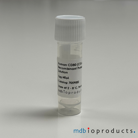 Human CD80 (CTLA-4 / B7-1), Recombinant Protein, Cell Signaling Pathways, MD Bioproducts, MD Biosciences
