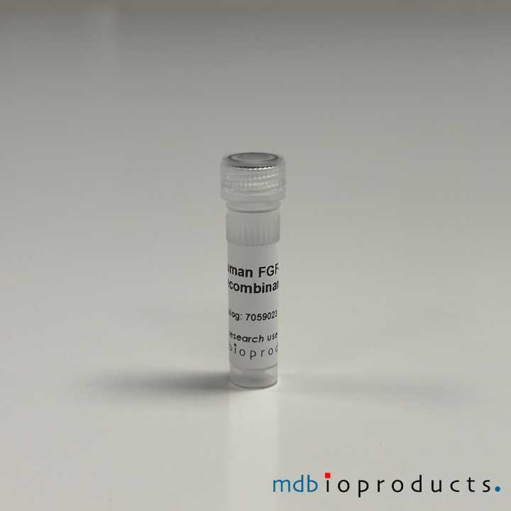 FGF-8 Recombinant eiwit (mens)