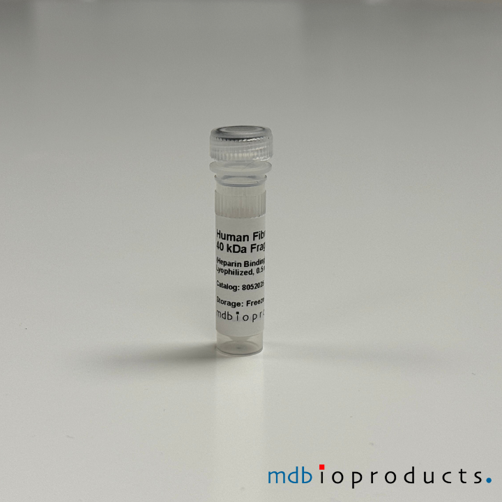 Fibronectine 40 kDa Fragment Heparin Binding, Human