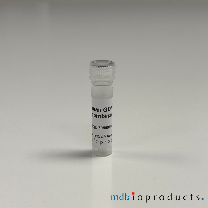 GDNF Recombinant eiwit (mens)