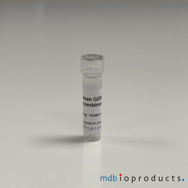 GDNF Recombinant Protein (Human), 10ug