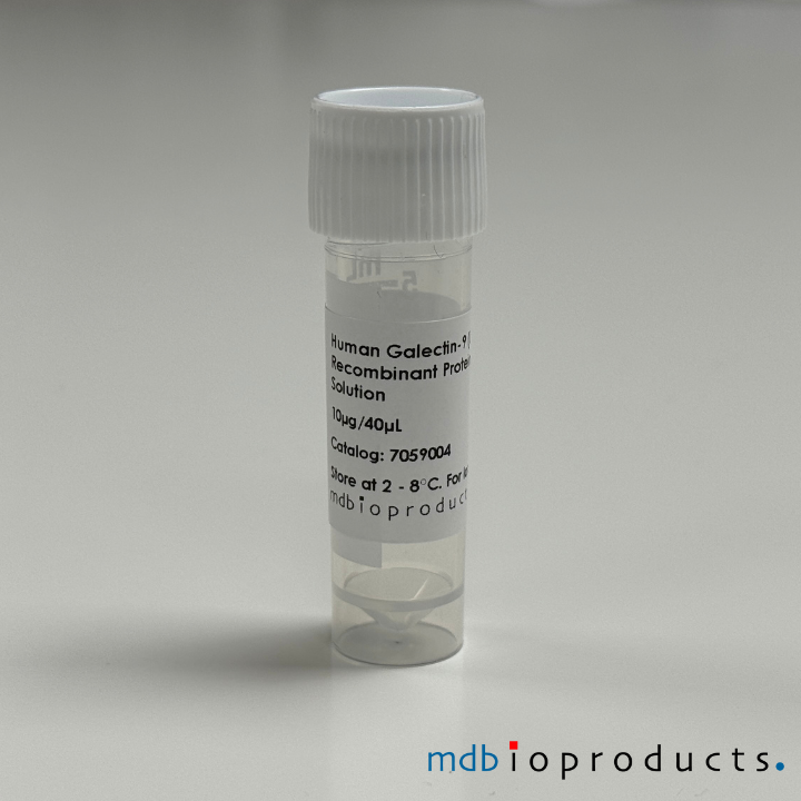 Galectine-9 (LGALS9) Recombinant eiwit, humaan
