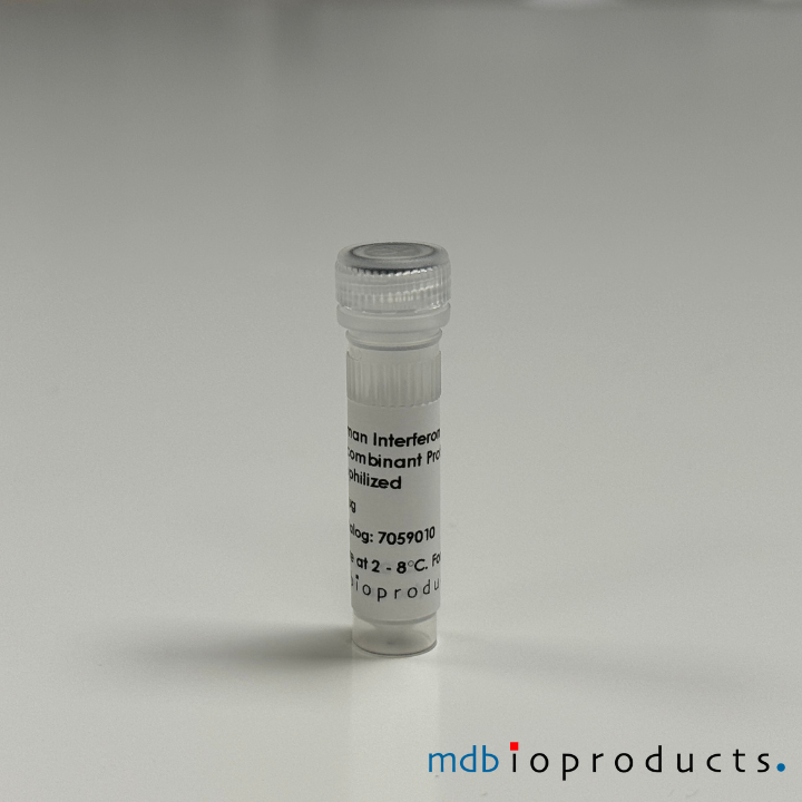 Interferon-Gamma (IFN-g) Recombinant eiwit, humaan