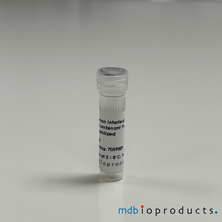 Interleukine-2 (IL-2) Recombinant eiwit, humaan