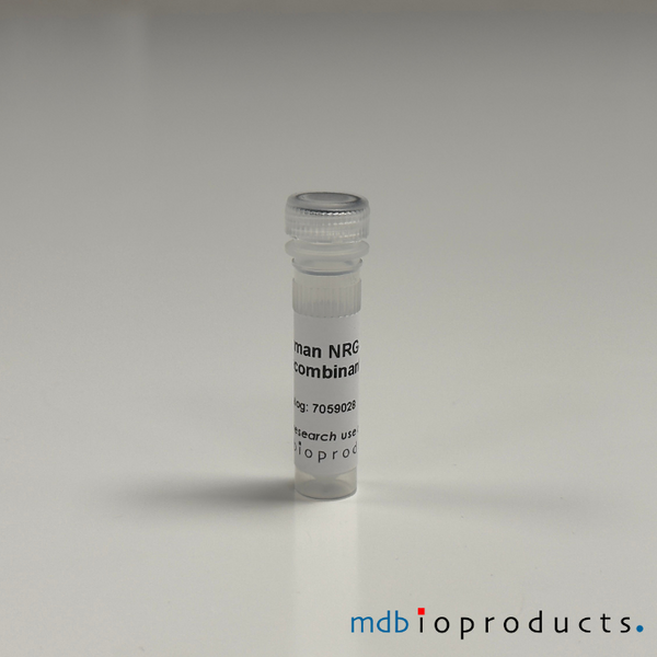 NRG-1 Recombinant Protein (Human), 50ug