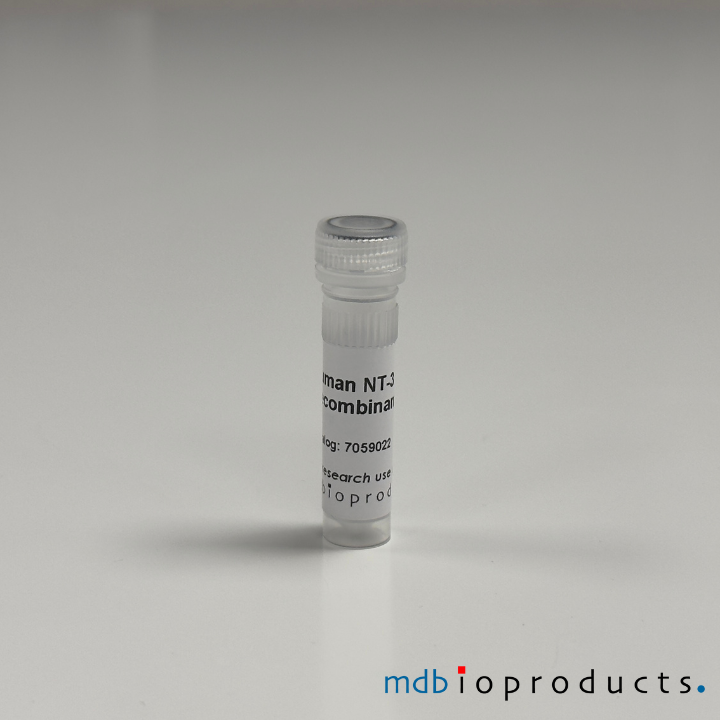NT-3 Recombinant eiwit (mens)