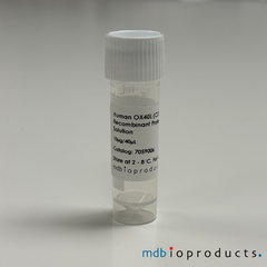 Human OX40L (CD134L, CD252), Recombinant Protein, Cell Signaling Pathways, MD Bioproducts, MD Biosciences