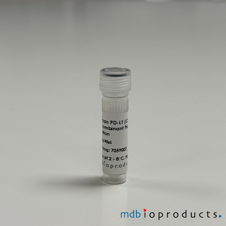PD-L1 (CD274) Recombinant eiwit, humaan